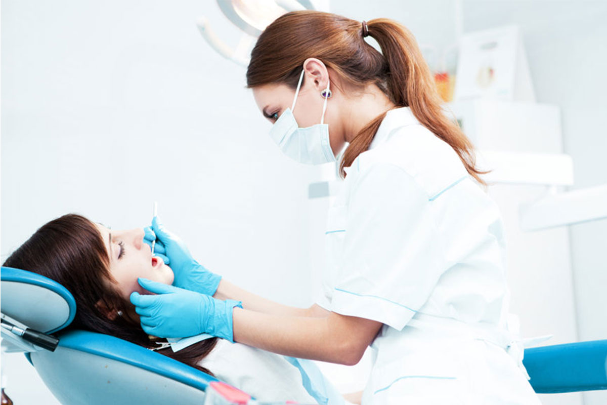 Mkdental Implants